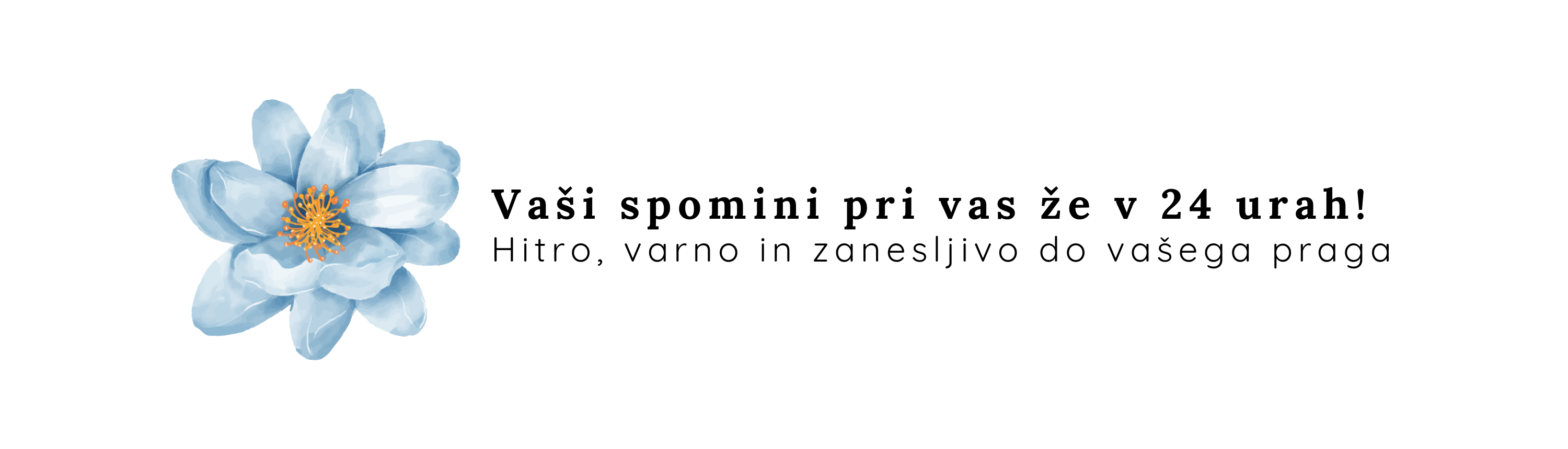 z2 slo